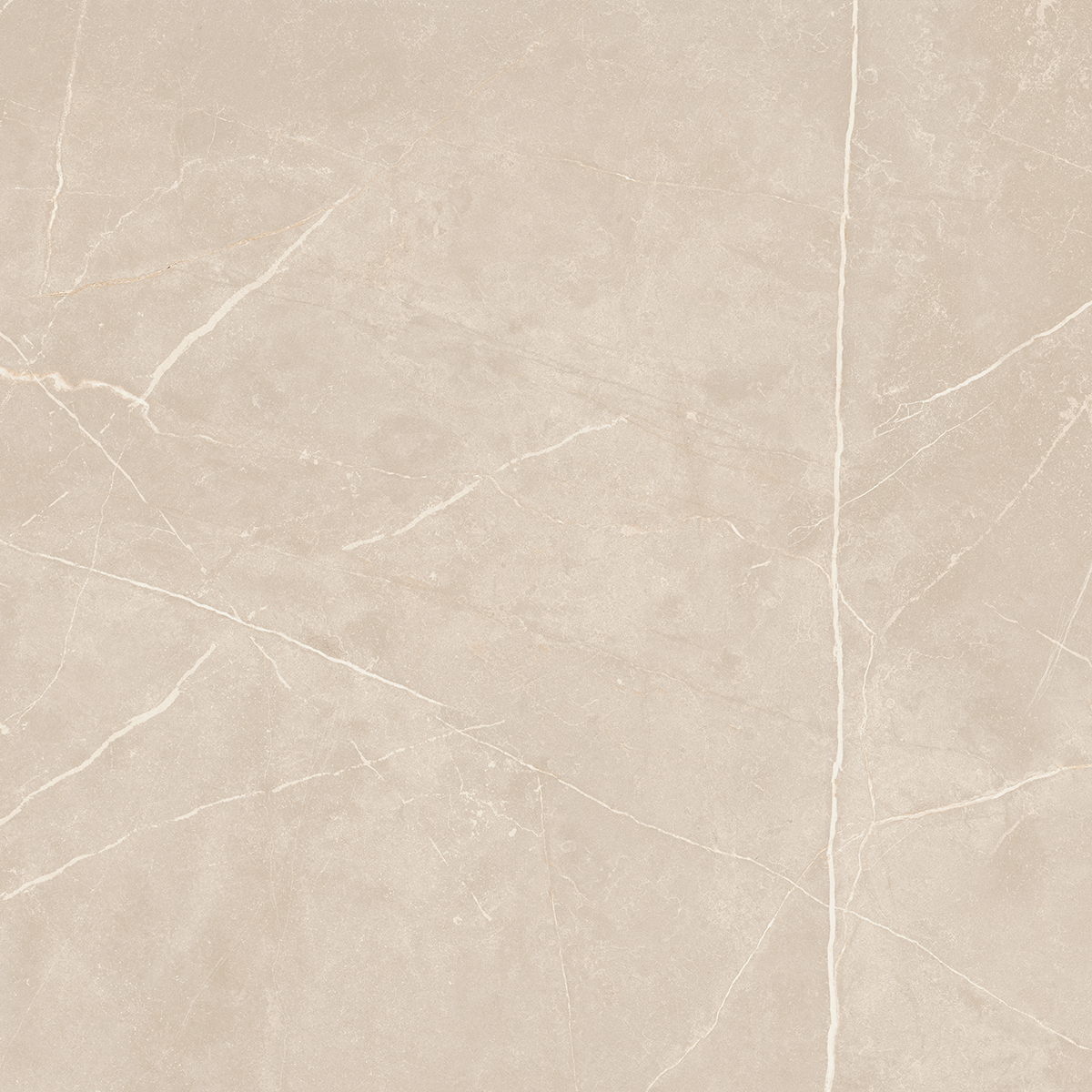 Керамогранит NL01 60x60x9 Непол.Рект. (Керамический гранит)-7