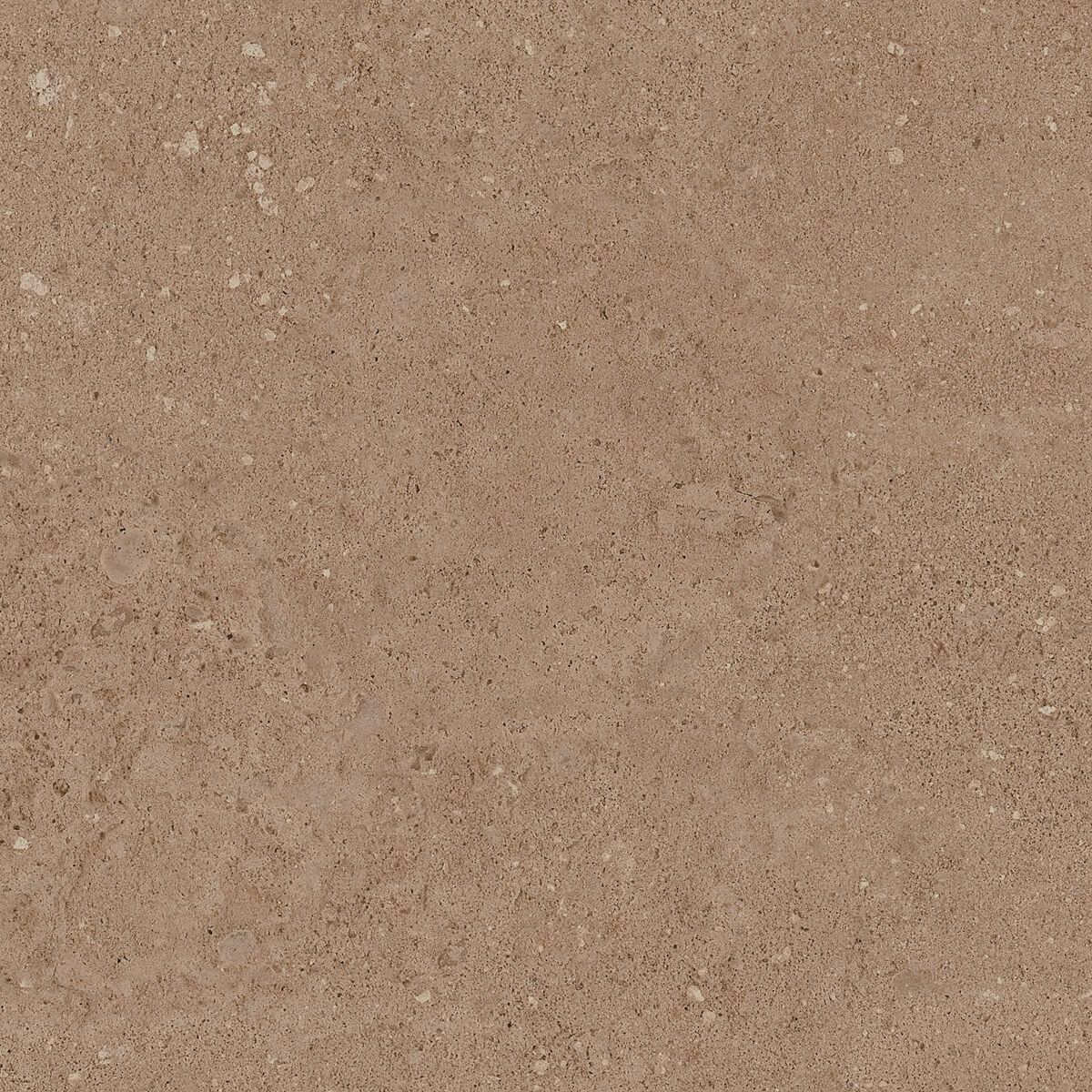 Керамогранит NP03 40,5x40,5x8 Непол. (Керамический гранит) (43,296 м2)-10