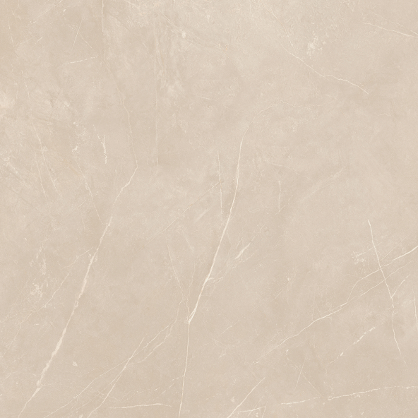 Керамогранит NL01 60x60x9 Непол.Рект. (Керамический гранит)-17