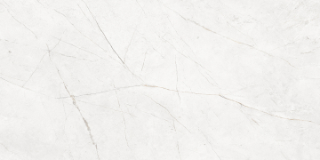 Керамогранит NL00 60x120x9 Непол.Рект. (Керамический гранит)-10