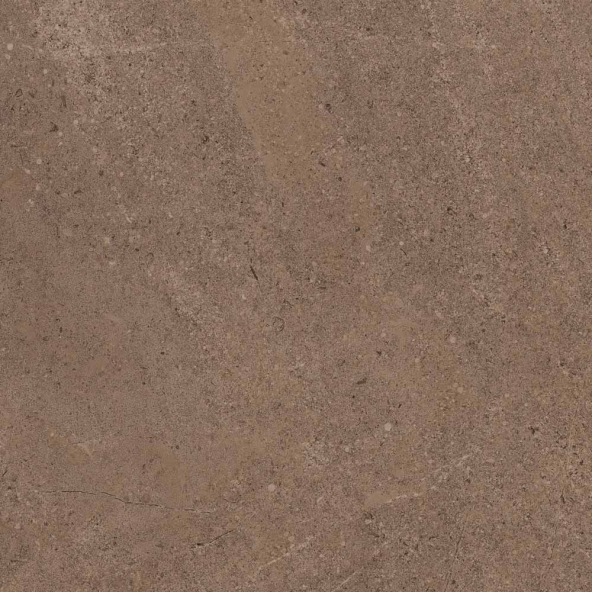 Керамогранит GO02 60x60x9 Непол.Рект. (Керамический гранит)-9