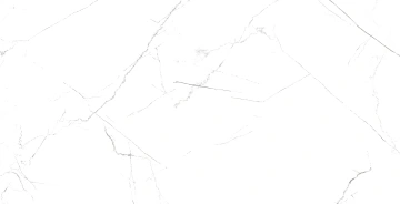 Керамогранит  RE04 40,5x40,5х8 Непол. (Керамический гранит) (43,296 м2) _3