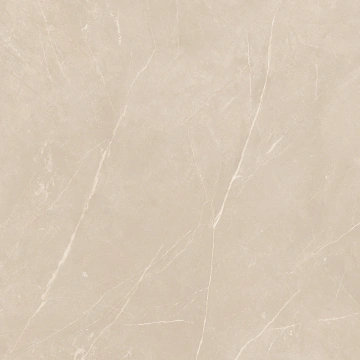 Керамогранит  NL00 60x60x10 Полир. (Керамический гранит) _16