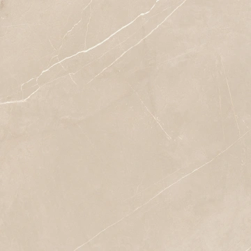 Керамогранит  NL00 60x60x10 Полир. (Керамический гранит) _18