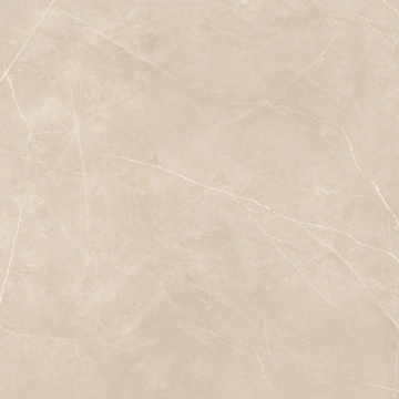 Керамогранит  NL00 60x60x9 Полир. (Керамический гранит) _6