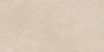Керамогранит  NL00 60x120x9 Полир. (Керамический гранит) _5