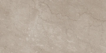 Керамогранит  AEM01 80x160x10 Непол.Рект. (Керамический гранит) _10