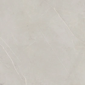 Керамогранит  NL01 80x80x10 Непол.Рект. (Керамический гранит) _2