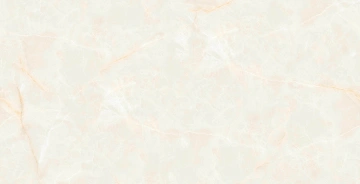 Керамогранит  CM02 80x80x11 Непол.Рект. (Керамический гранит) _5