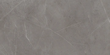 Керамогранит  AW01 19,4x120x9 Непол.Рект. (Керамический гранит) _11