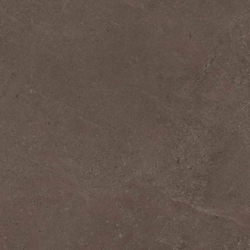Керамогранит  GO02 60x60x9 Непол.Рект. (Керамический гранит) _6