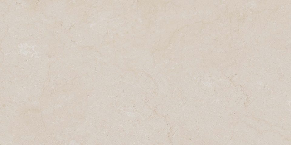 Керамогранит AEM00 60x120x9 Непол.Рект. (Керамический гранит) #5