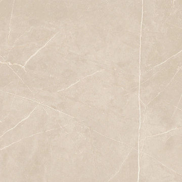 Керамогранит  NL00 60x60x10 Полир. (Керамический гранит) _4