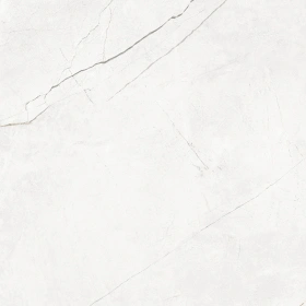 Керамогранит  NL01 60x60x9 Непол.Рект. (Керамический гранит) _19