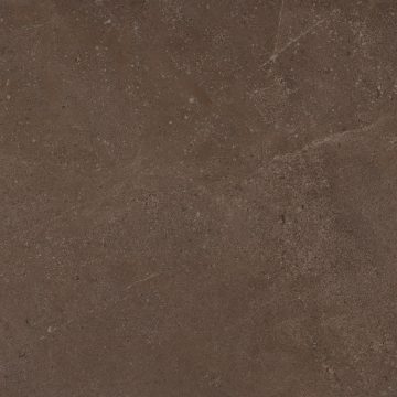 Керамогранит GO03 60x60x9 Непол.Рект. (Керамический гранит) #4
