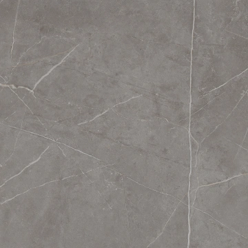 Керамогранит  NL02 60x60x9 Непол.Рект. (Керамический гранит) _8