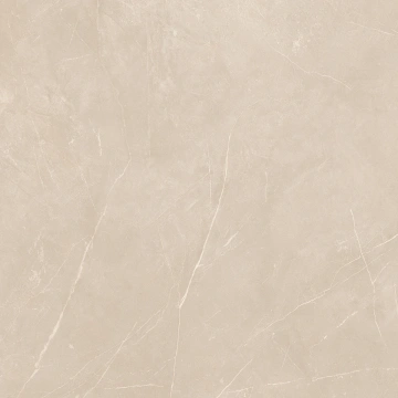 Керамогранит  NL00 60x60x10 Полир. (Керамический гранит) _14