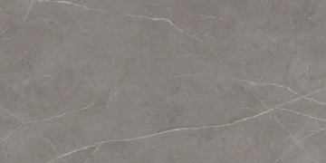 Керамогранит  RE02 30,6x60,9x8 Непол. (Керамический гранит) _5