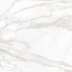 Керамогранит SM02 60x60x10 Полир. (Керамический гранит) #14