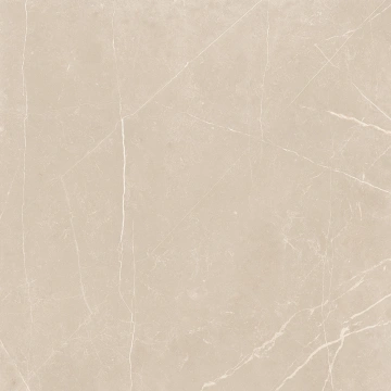 Керамогранит  NL00 60x60x9 Полир. (Керамический гранит) _3