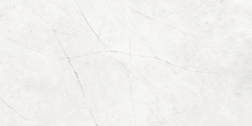 Керамогранит  NL01 60x60x9 Полир. (Керамический гранит) _1
