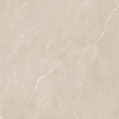 Керамогранит NL01 60x60x10 Полир. (Керамический гранит) #12