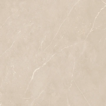 Керамогранит  NL00 60x60x10 Полир. (Керамический гранит) _11
