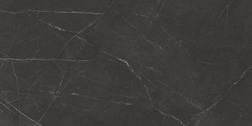 Керамогранит  KW05 19,4x120x10 Структур.Рект. (Керамический гранит) _5