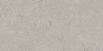 NP01 30,6x60,9x8 Непол. (Керамический гранит)_2