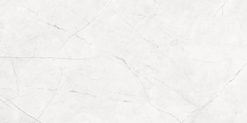 Керамогранит NL00 80x160x10 Непол.Рект. (Керамический гранит)-7