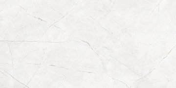 Керамогранит  NL01 60x60x9 Полир. (Керамический гранит) _6