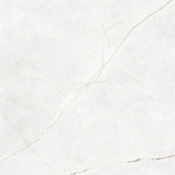 NL00 60x60x10 Непол.Рект. (Керамический гранит)_17