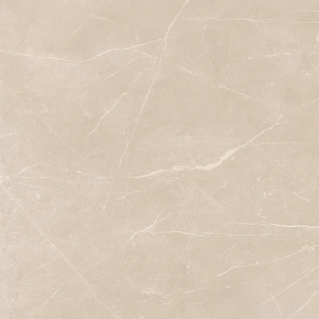 Керамогранит  NL00 60x60x10 Полир. (Керамический гранит) _19