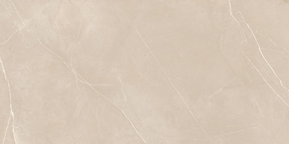 Керамогранит NL01 60x120x10 Полир. (Керамический гранит) — лицо плитки 6