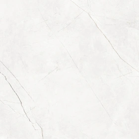 Керамогранит  TE04 80x80x10 Непол.Рект. (Керамический гранит) _6