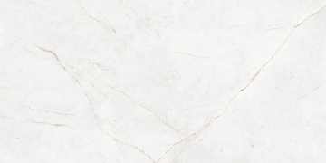 Керамогранит NL00 60x120x9 Полир. (Керамический гранит)-9