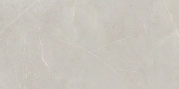 Керамогранит  KW02 19,4x120x10 Структур.Рект. (Керамический гранит) _9