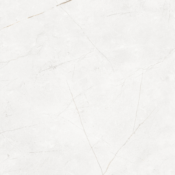 Керамогранит NL00 60x60x9 Непол.Рект. (Керамический гранит)-1