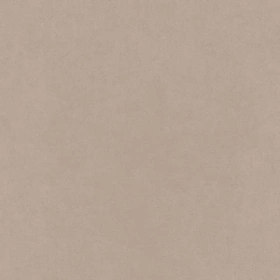 Керамогранит  CA04 60x120x10 Непол.Рект. (Керамический гранит) _12